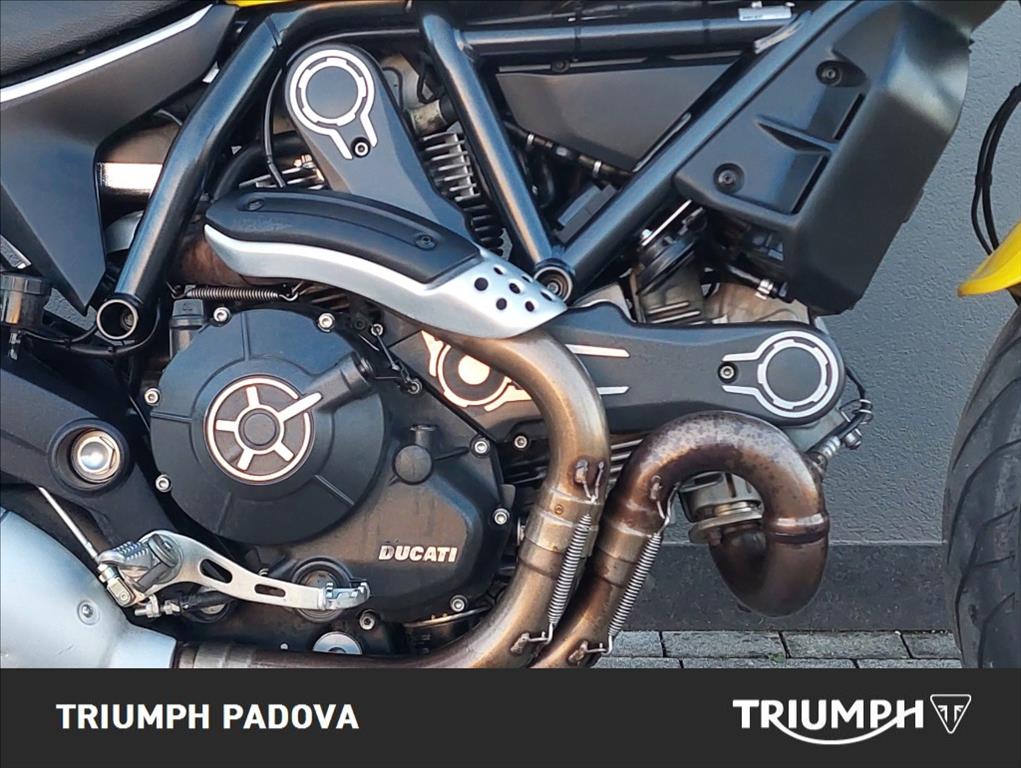 DUCATI Scrambler 800 Icon Yellow