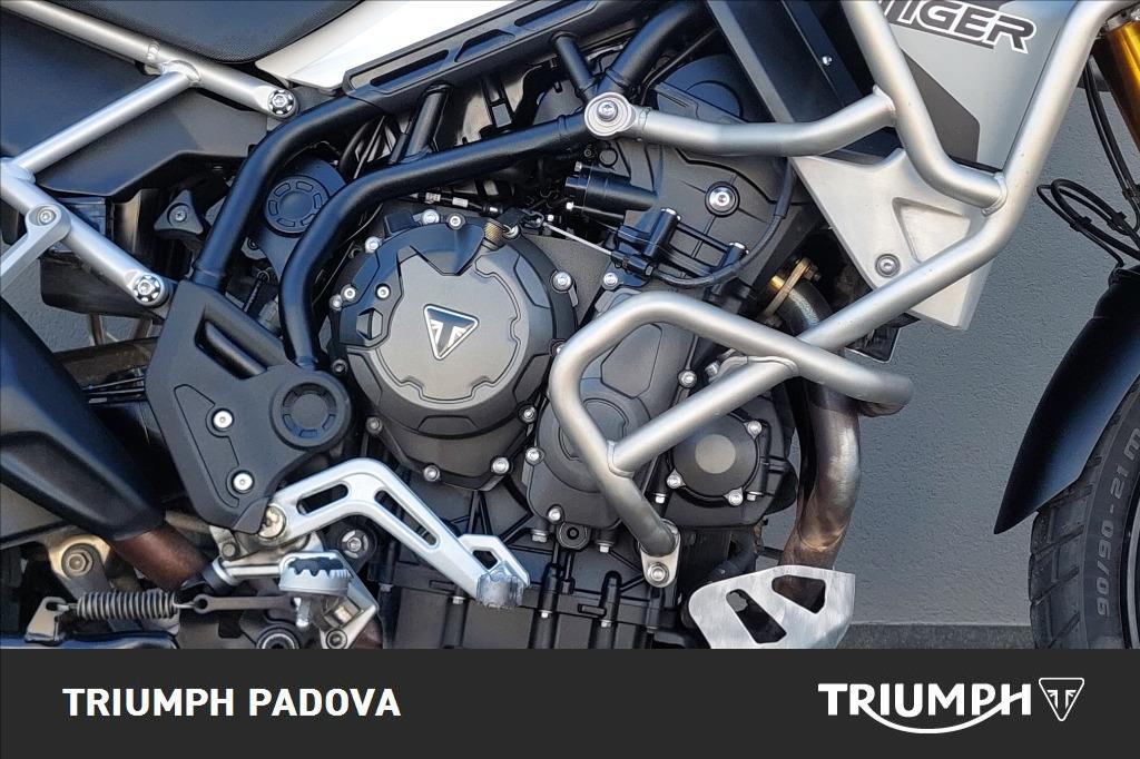 TRIUMPH Tiger 900 Rally Pro Abs