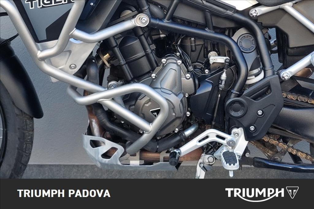 TRIUMPH Tiger 900 Rally Pro Abs