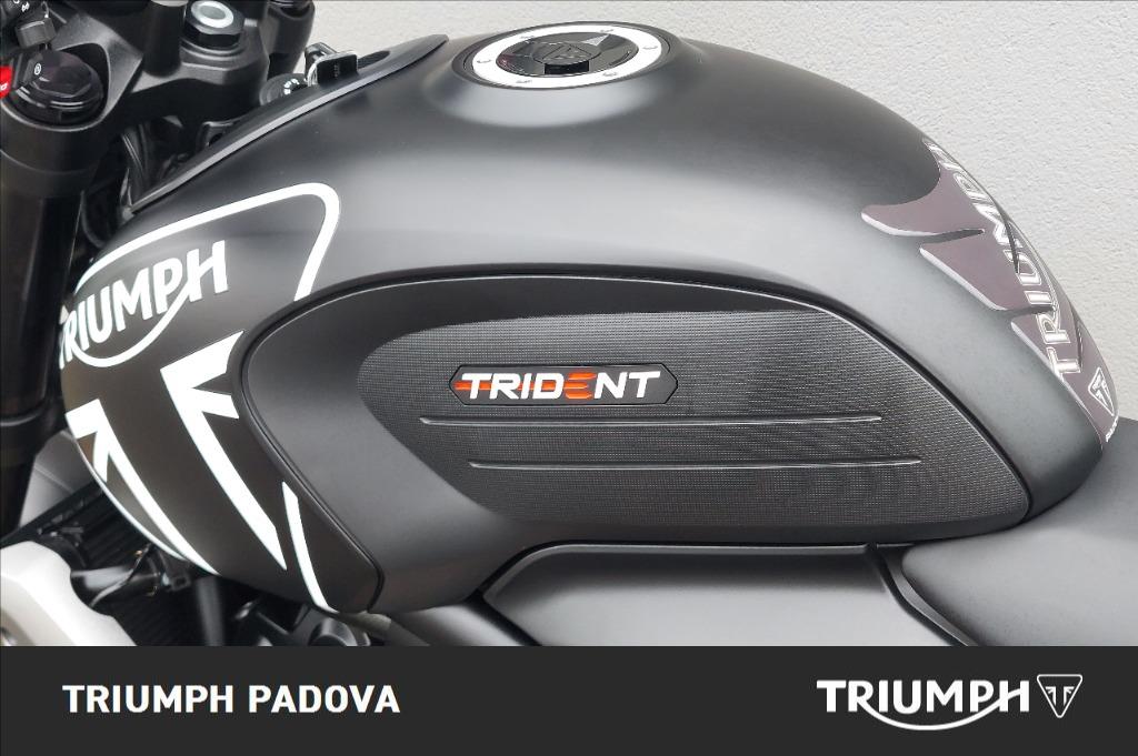 TRIUMPH Trident 660 Abs
