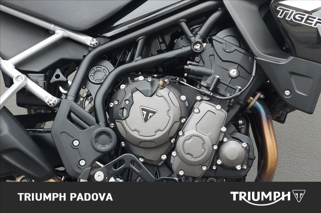 TRIUMPH Tiger 900 GT Abs