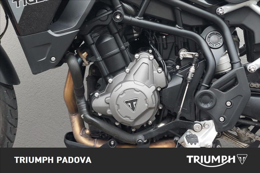TRIUMPH Tiger 900 GT Abs