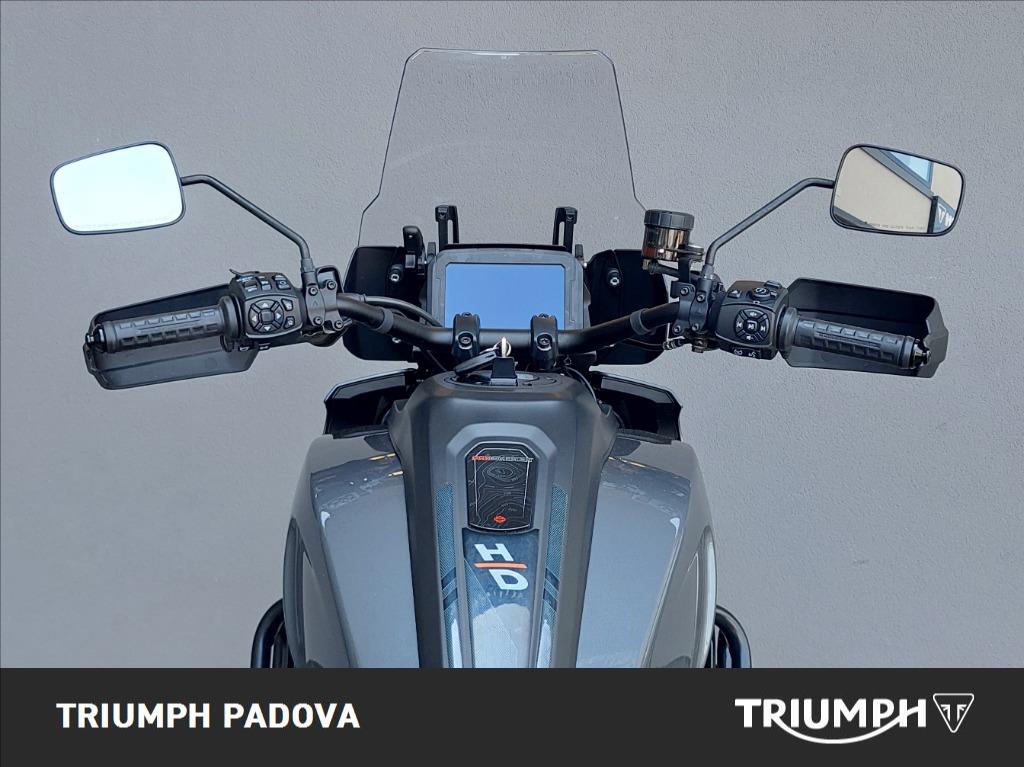 HARLEY DAVIDSON Pan America 1250 Special c.raggi ARH Two One Abs