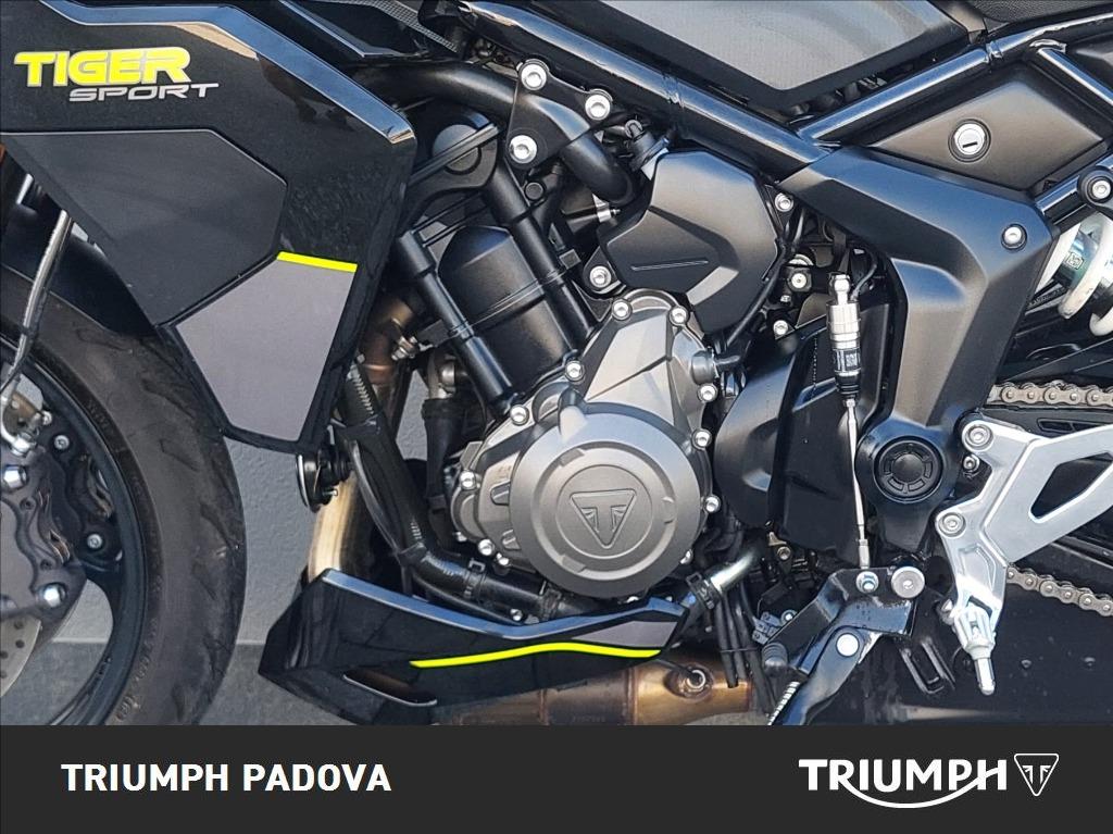 TRIUMPH Tiger Sport 800 Abs