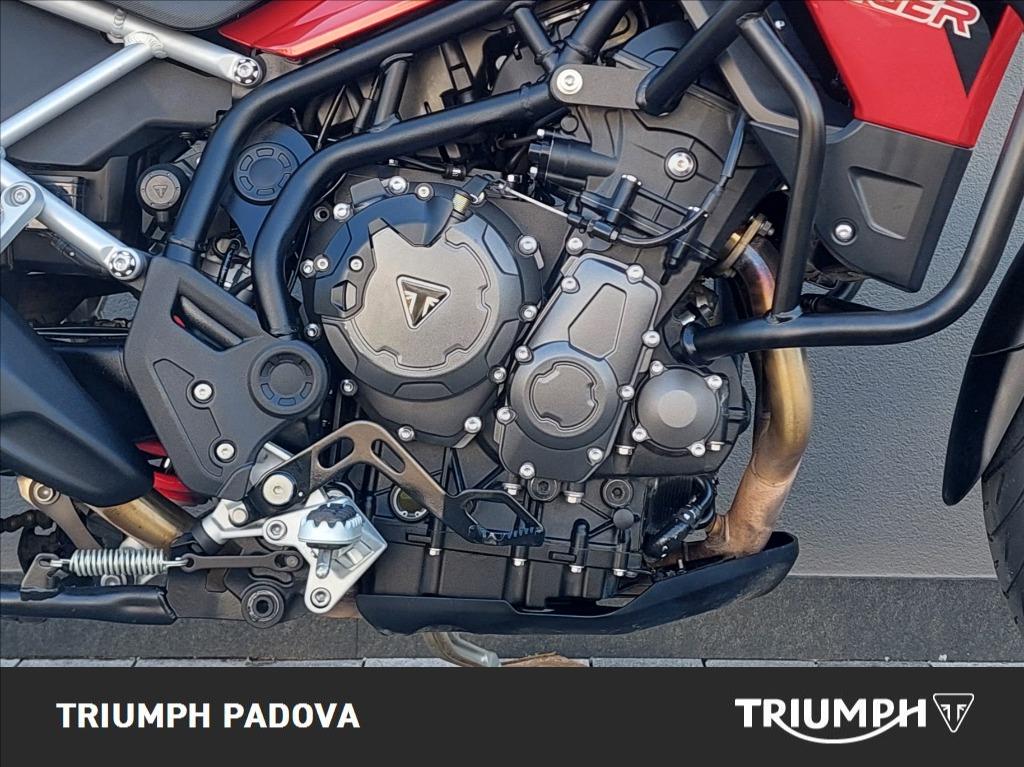 TRIUMPH Tiger 900 GT Pro Abs