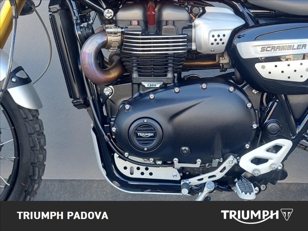 TRIUMPH Scrambler 1200 XE Gold Line Abs