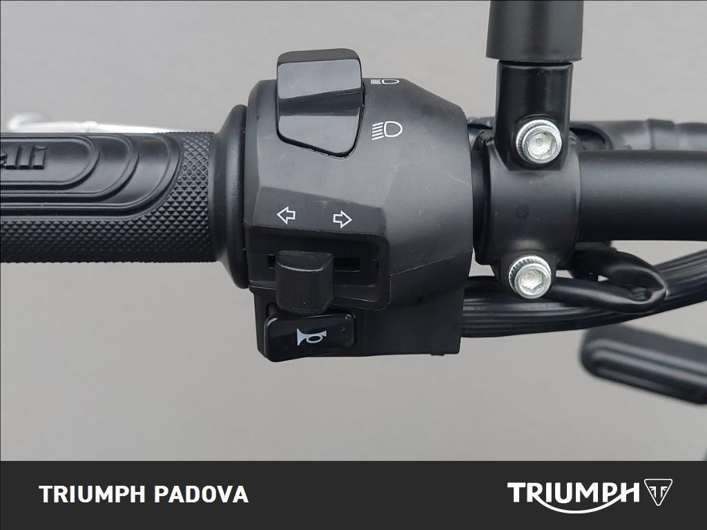 BENELLI Leoncino 250 E5