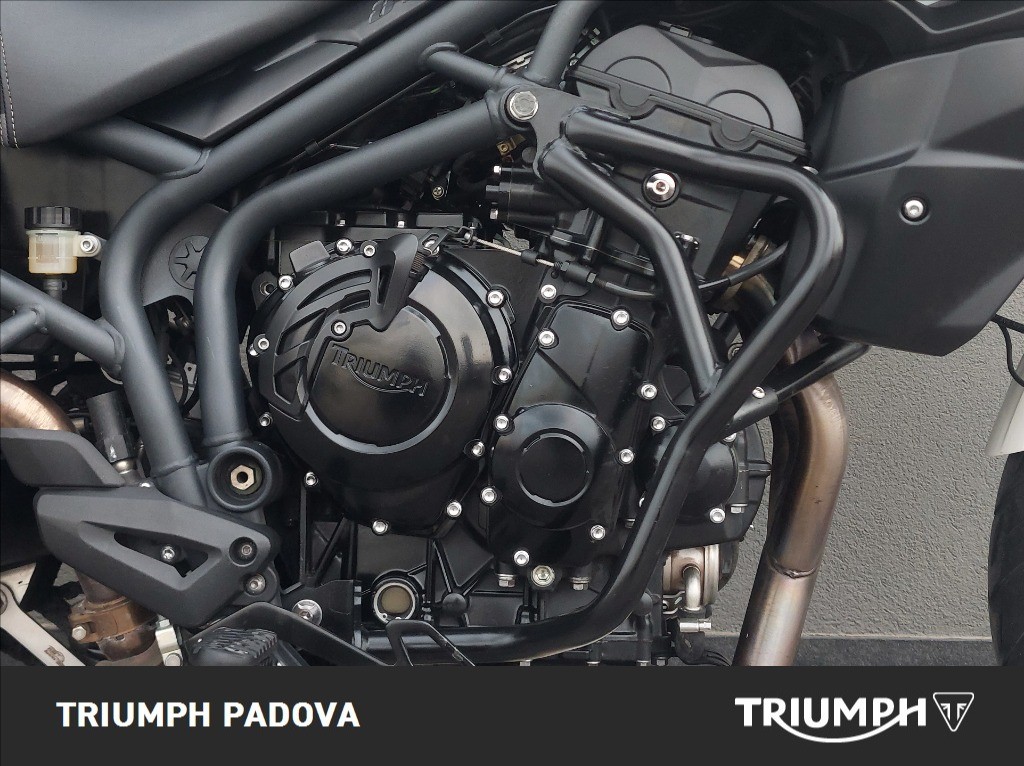 TRIUMPH Tiger 800 Abs