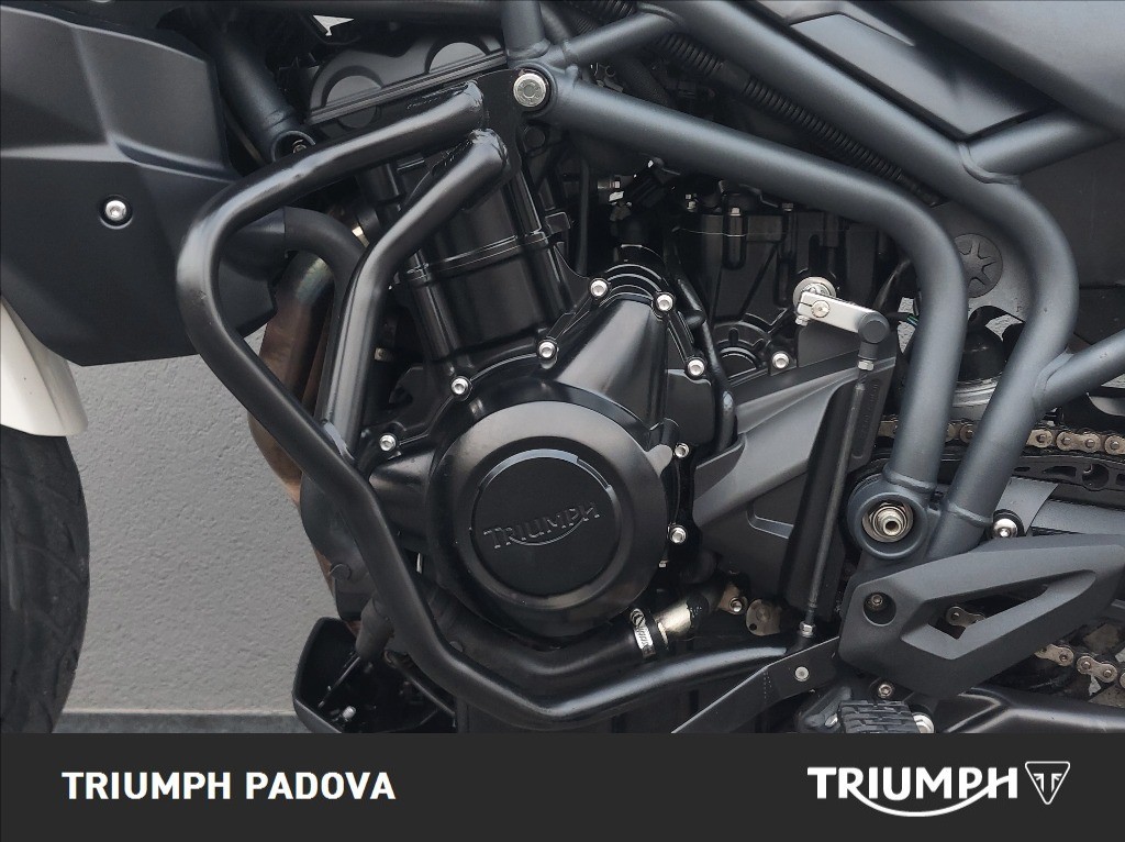 TRIUMPH Tiger 800 Abs