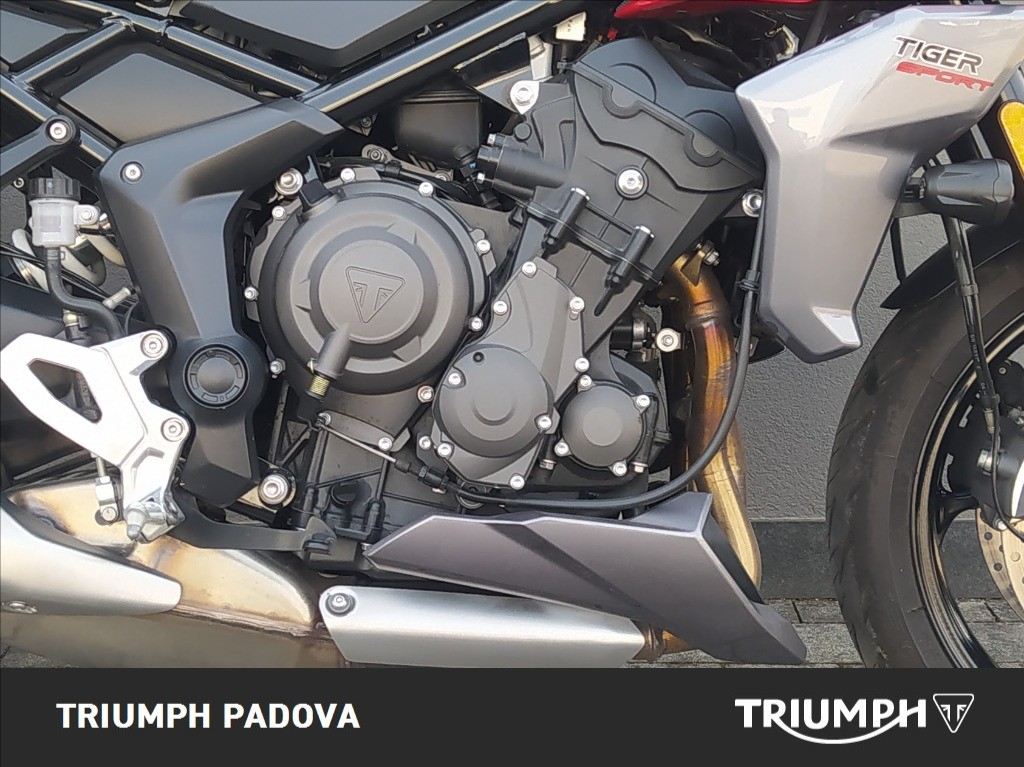 TRIUMPH Tiger Sport 660 Abs