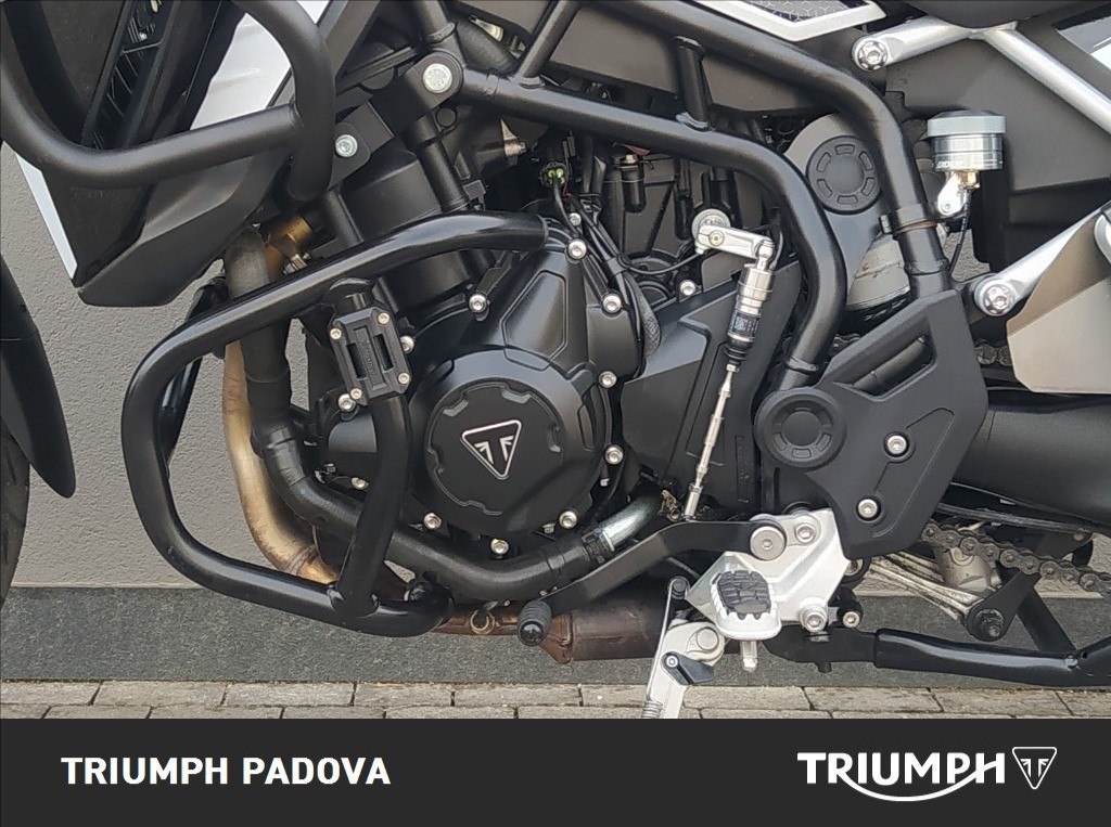 TRIUMPH Tiger 900 GT Abs