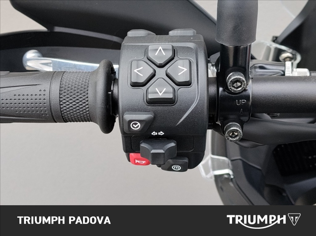 TRIUMPH Tiger Sport 800 Abs