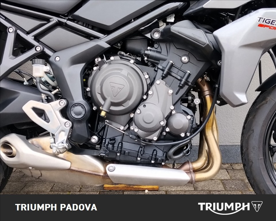 TRIUMPH Tiger Sport 660 Abs