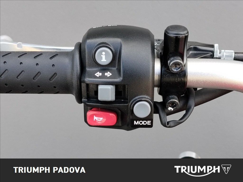 TRIUMPH Street Scrambler 900 