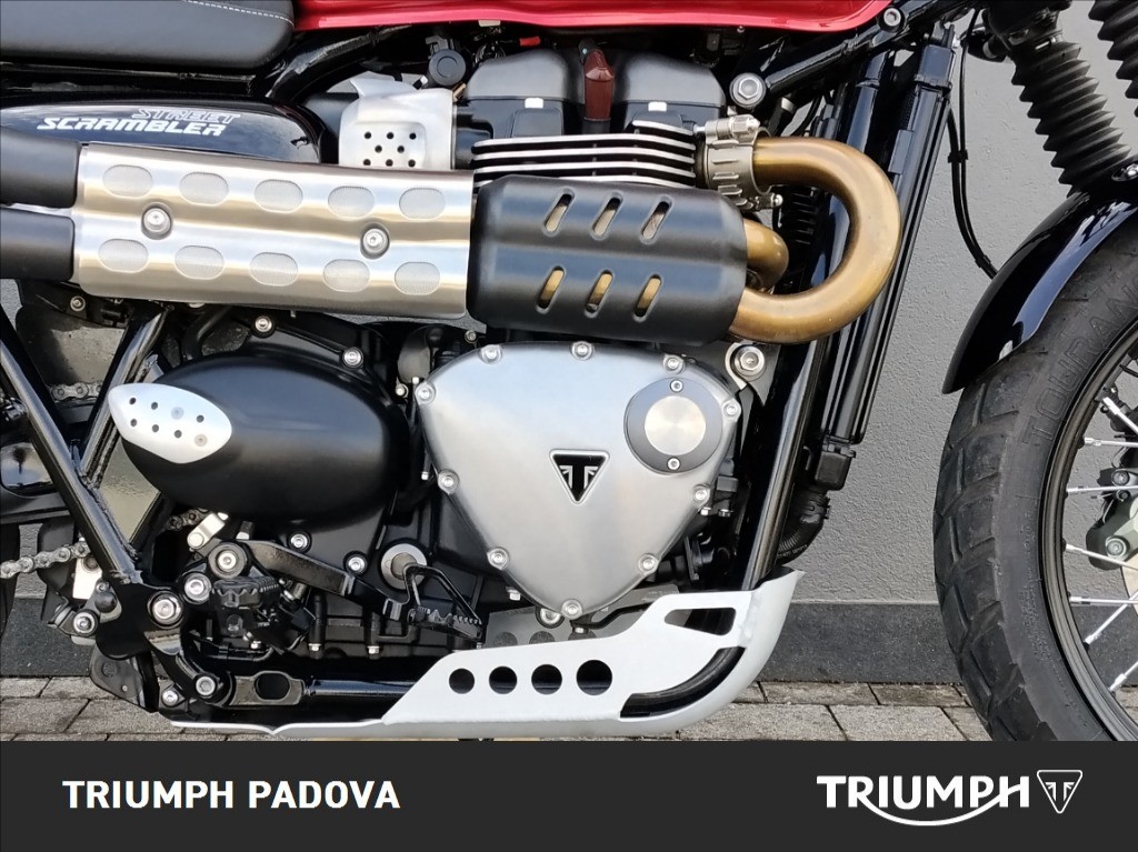 TRIUMPH Street Scrambler 900 