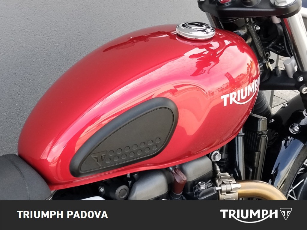 TRIUMPH Street Scrambler 900 