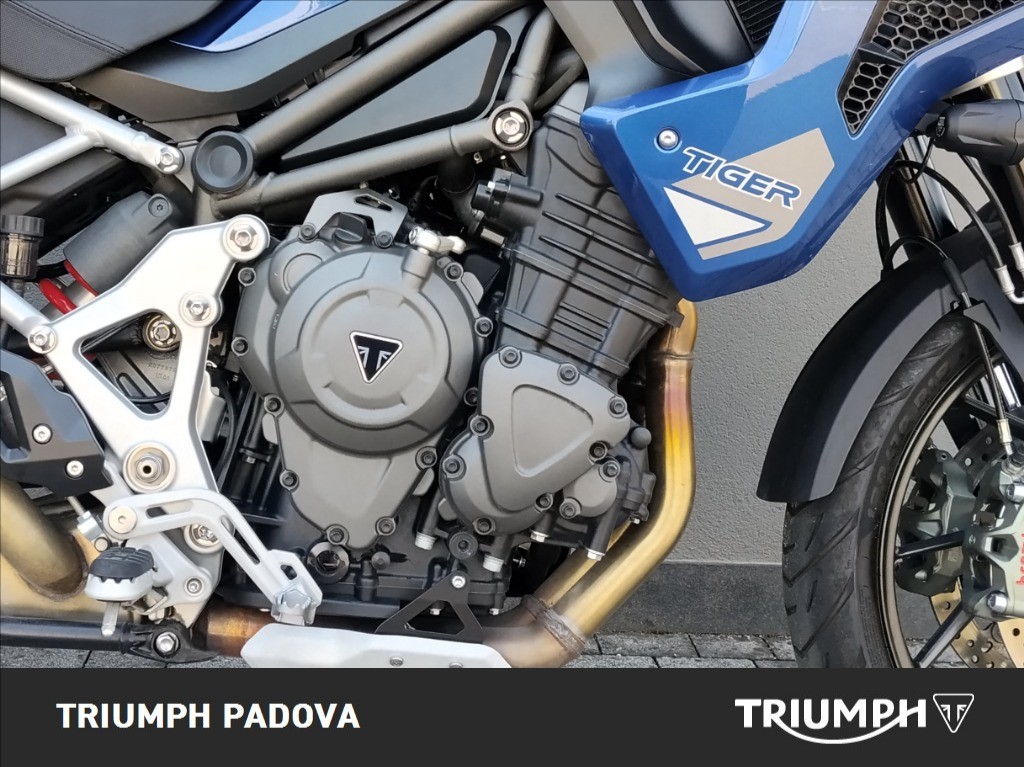 TRIUMPH Tiger 1200 GT Pro Abs