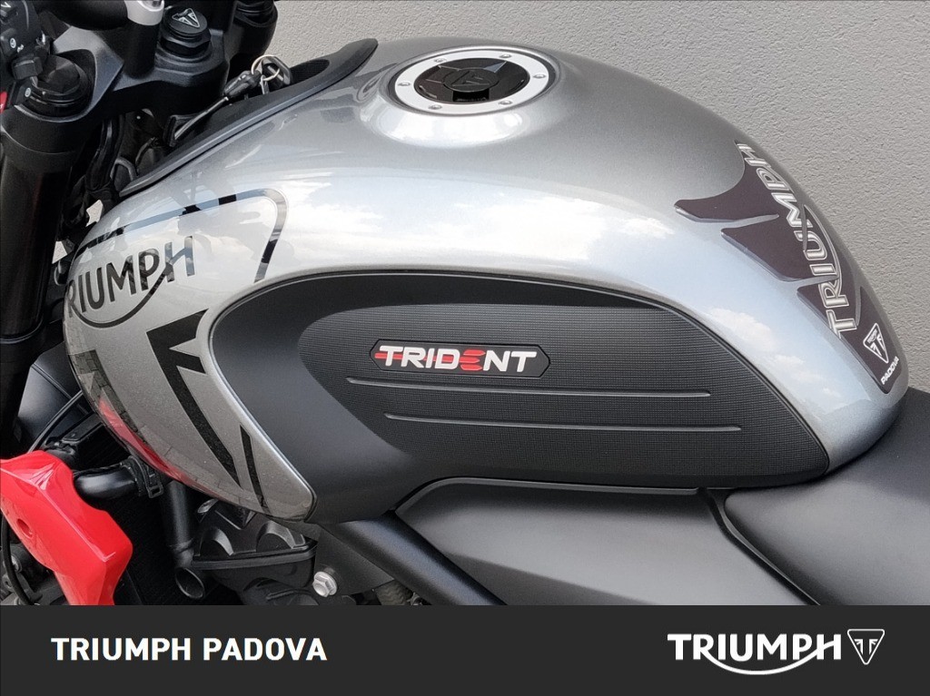 TRIUMPH Trident 660 Abs