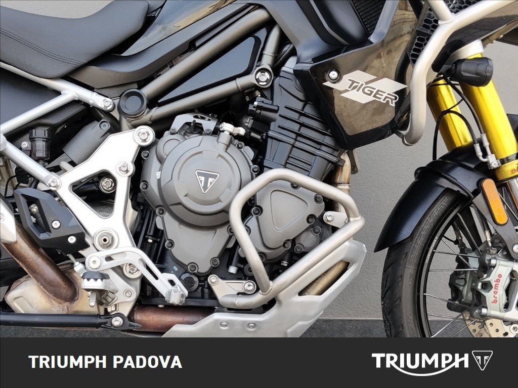 TRIUMPH Tiger 1200 Rally Pro Abs
