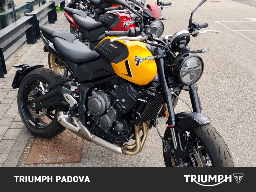 TRIUMPH Trident 660 Cosmic Yellow Abs