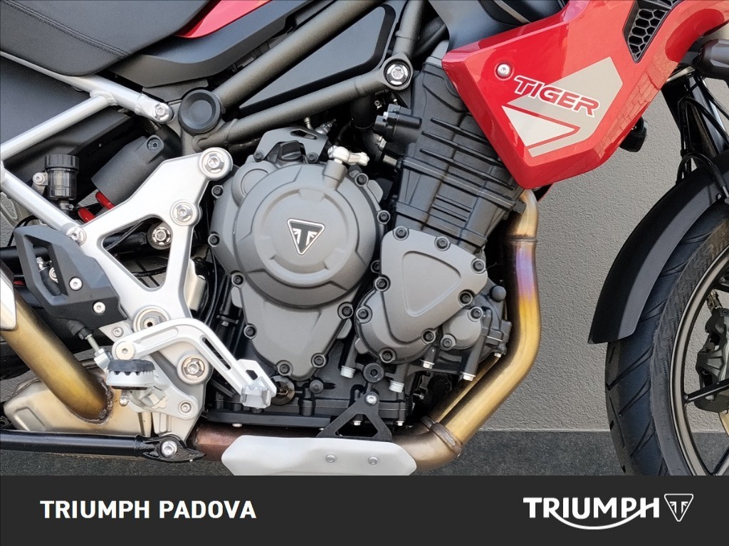 TRIUMPH Tiger 1200 GT Pro Abs