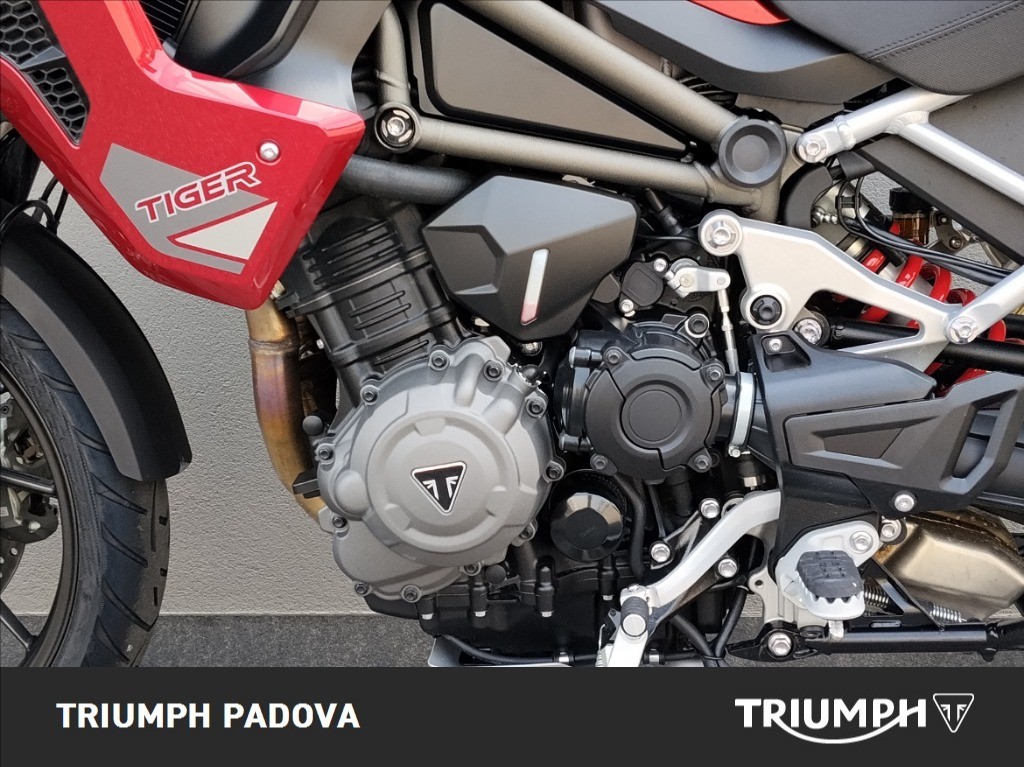 TRIUMPH Tiger 1200 GT Pro Abs