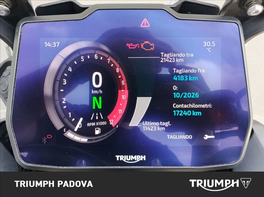 TRIUMPH Tiger 900 Rally Pro Abs