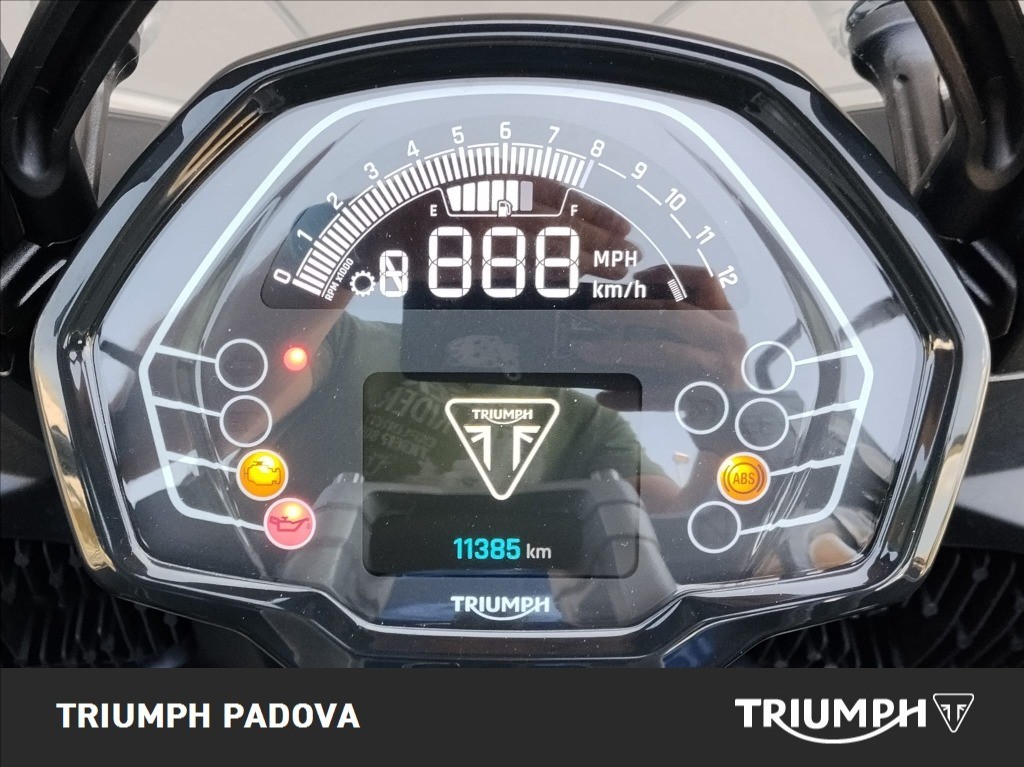 TRIUMPH Tiger Sport 800 Abs