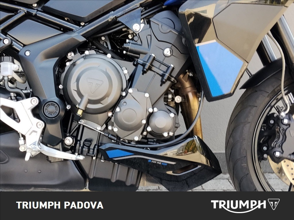 TRIUMPH Tiger Sport 800 Abs