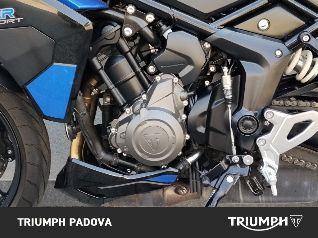 TRIUMPH Tiger Sport 800 Abs