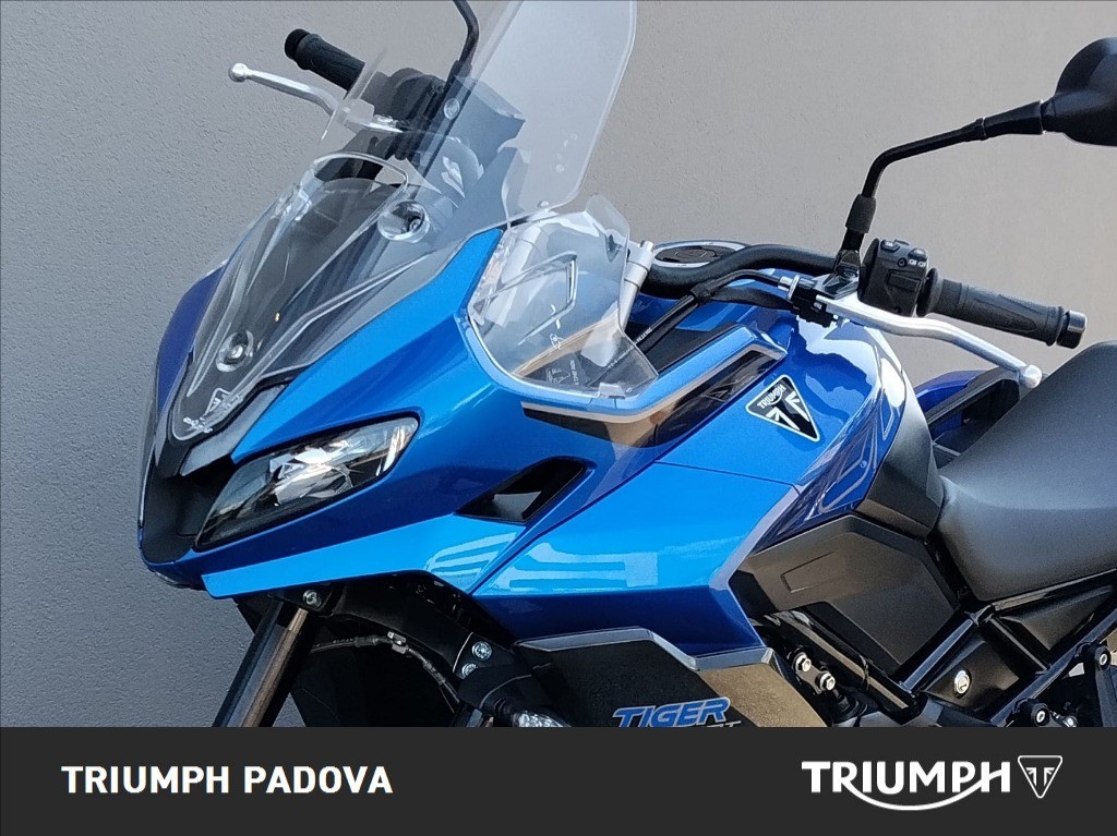TRIUMPH Tiger Sport 800 Abs