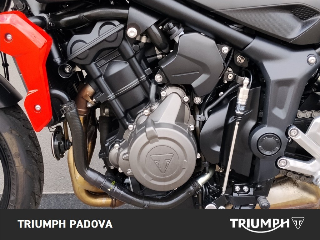 TRIUMPH Trident 660 Abs
