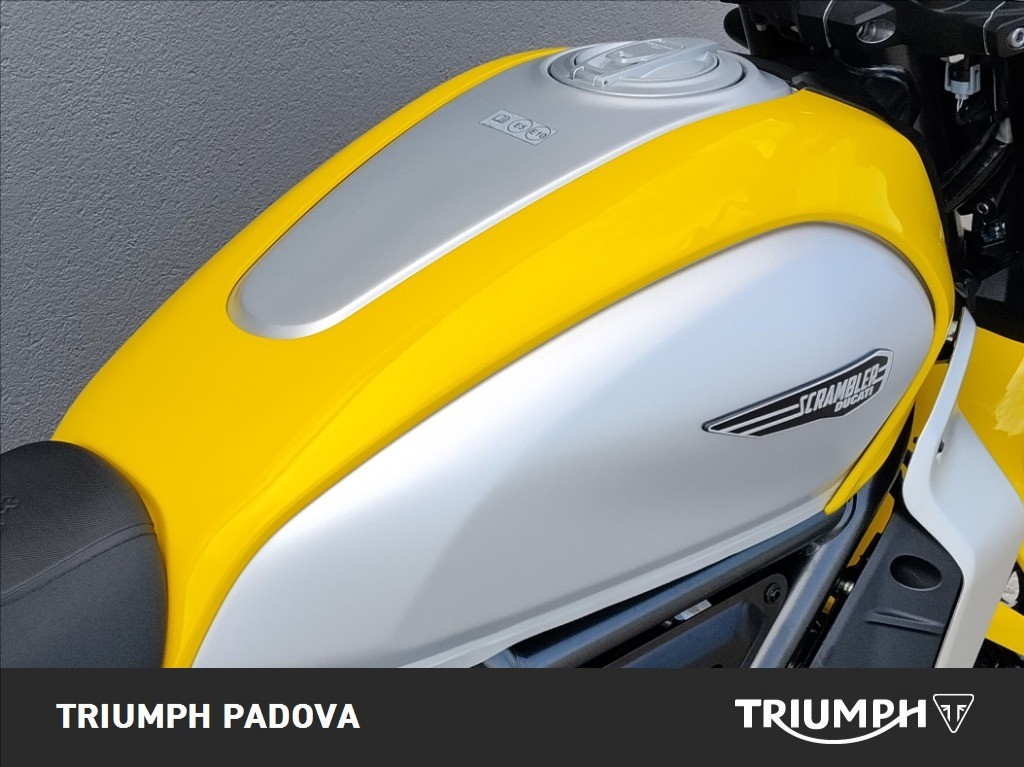 DUCATI Scrambler 800 Icon