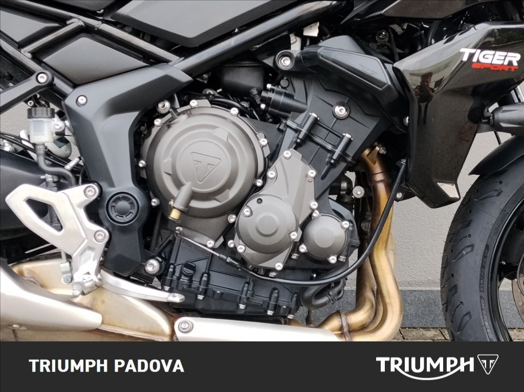 TRIUMPH Tiger Sport 660 Abs