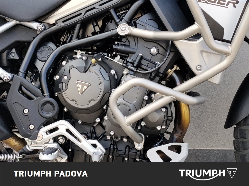 TRIUMPH Tiger 900 Rally Pro Abs