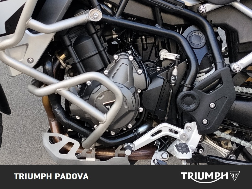 TRIUMPH Tiger 900 Rally Pro Abs