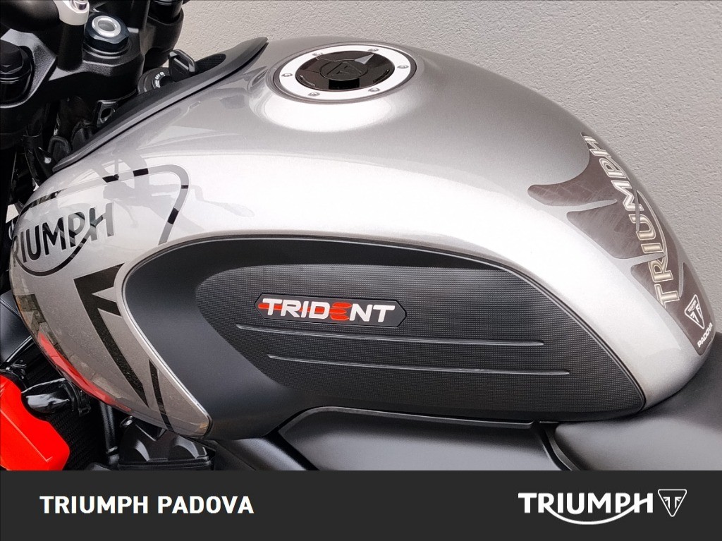 TRIUMPH Trident 660 Abs