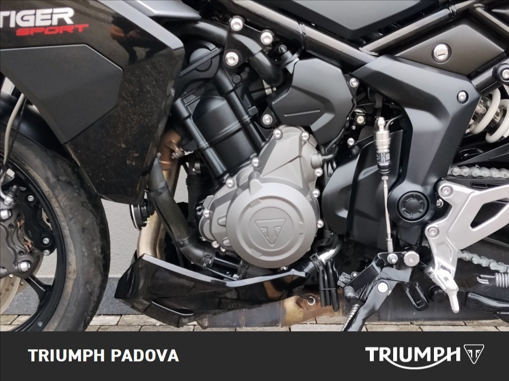 TRIUMPH Tiger Sport 800 Abs